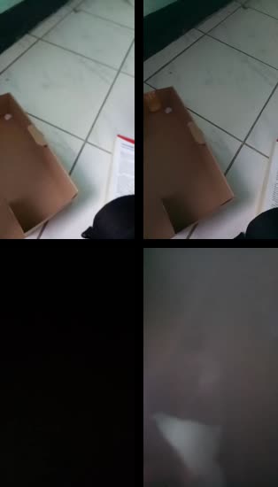 Bokep Indo Dodos 01