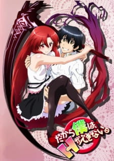 Poster Dakara Boku Wa H Ga Dekinai