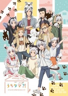 Poster Uchi Tama Uchi No Tama Shirimasen Ka