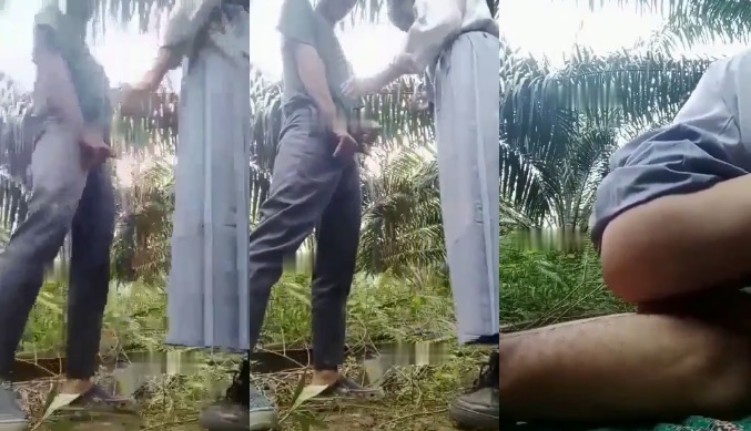 Indo – Pasangan Muda Bolos ke Kebun Sawit Buat Mesum