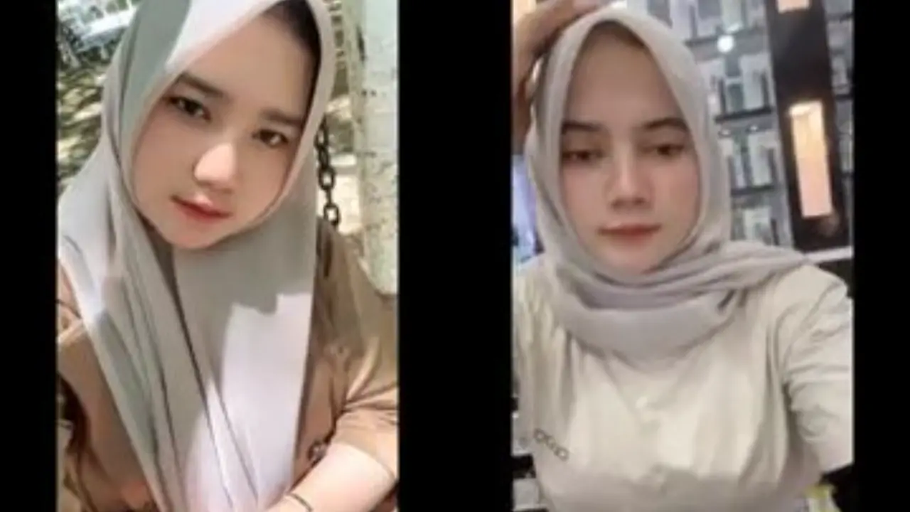 Capok amuy (240)