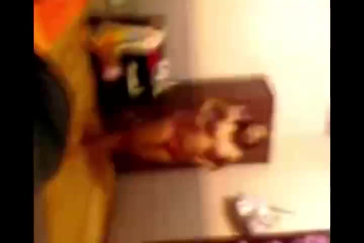 Abg Di Kamar Gang Dolly