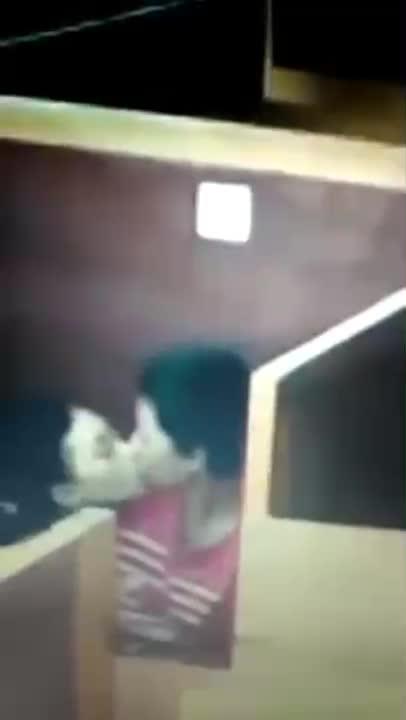 Ngintip Di Warnet Sepi Ciuman Dan Ngisep