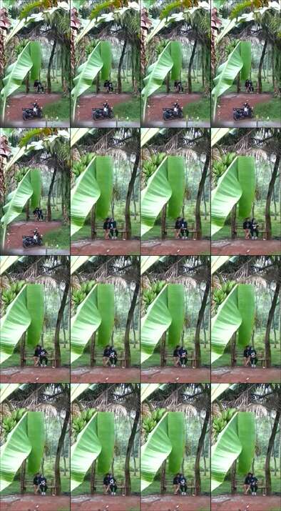 Pacaran Di Kebon Terekam