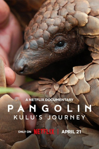 Poster Pangolin: Kulu’s Journey