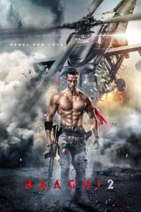Poster Baaghi 2