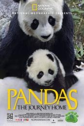 Poster Pandas: The Journey Home