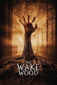 Poster Wake Wood