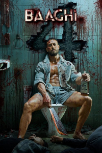 Poster Baaghi 4