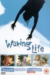Poster Waking Life
