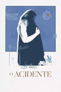 Poster O Acidente