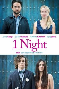 Poster 1 Night (One Night)