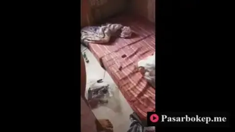 Indo Kamar Pacar