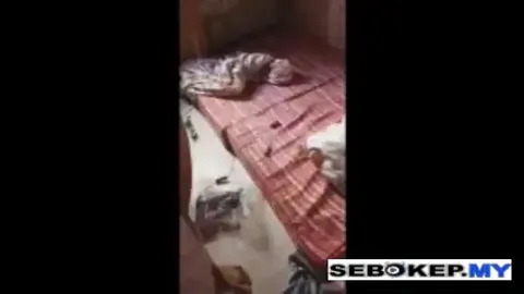 Indo Kamar Pacar