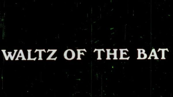 Poster Waltz of the Bat
