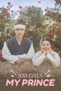 Poster 100 Days My Prince (Baekilui Nanggoonnim)