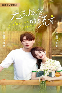 Poster drakor Liars in Love