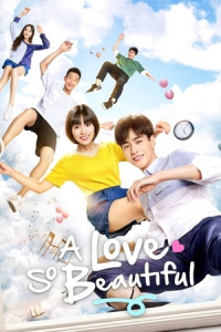 Poster Zhi Wo Men Dan Chun De Xiao Mei Hao (A Love So Beautiful)