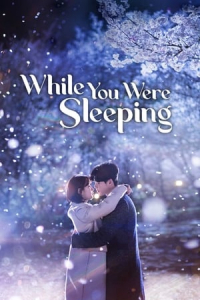 Poster drakor While You Were Sleeping (Dangshini Jamdeun Saie)
