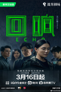 Poster Echo – CH