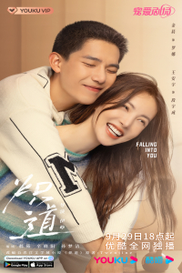 Poster Falling Into You