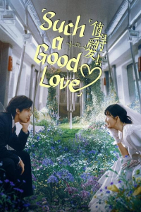 Poster drakor Such a Good Love