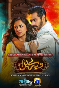 Poster drakor Tere Bin