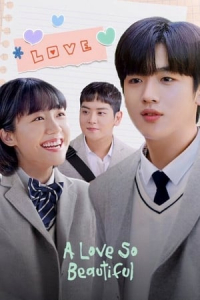 Poster drakor A Love So Beautiful