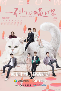 Poster drakor Accidentally Meow on You