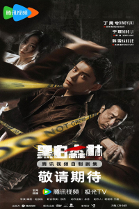 Poster drakor Black & White Forest
