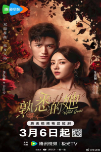 Poster drakor Wild Rose
